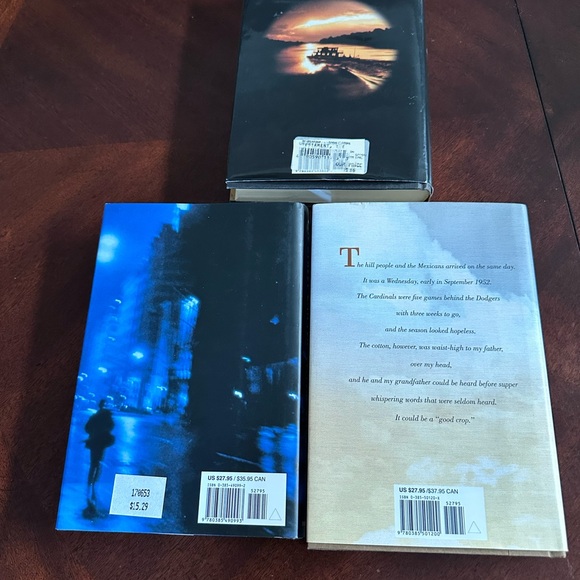 3 John Grisham Hardcover Books Street Lawyer Painted House The Testament 1st Ed - Picture 4 of 7